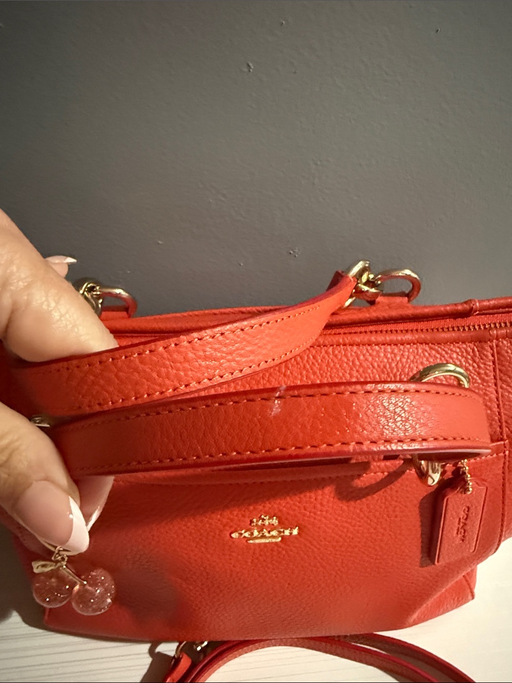 Coach Mini Ellis Tote is crafted from pebbled leather - Picture 5 of 11